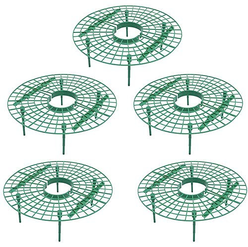 KUANDARMX Sehr gut 5 Stück Erdbeeren-Reifer, Strawberry Plant Support Squash Cradle Plant Unterstützt den Schutz von Erdbeeren und hält die Erdbeerreinigung aufrecht Anwesend