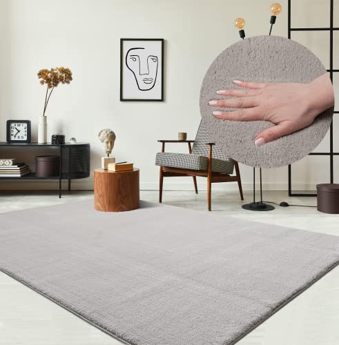 the carpet Relax Moderner Flauschiger Kurzflor Teppich, Anti-Rutsch Unterseite, Waschbar bis 30 Grad, Super Soft, Felloptik, Sand, 300 x 400 cm