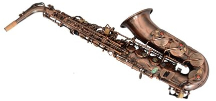 Goldlackiertes Professionelles Altsaxophon Rot Bronze Altsaxophon Instrument Anfänger Erwachsene E Flache