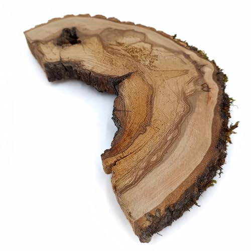 Plateau Apéritif en Bois Brut, Plateaux de Service en Bois Naturel, Planche à Découper Rustique, Planche Apéro Artisanale, Fait à la Main en France, Massif, winfox777 (33 x 18 x 3.5 cm)