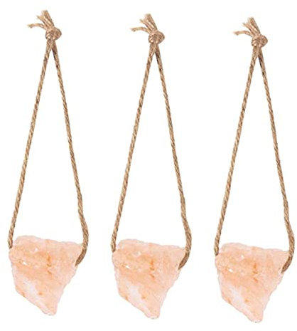 BCOATH Mineralischer Salzleckstein 3 Stück mit Hanfseil für Kaninchen Meerschweinchen und Eichhörnchen als Beschäftigungsspielzeug und Kauspielzeug