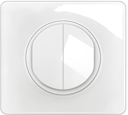 LEGRAND - Interrupteur Double ou Va-et-vient Lumineux + Plaque Céliane - 10A - Commande d'Eclairage Complète - Prêt à Installer - Blanc