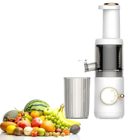 Compact Cold Press Juicer Machines, for High Nutrient Fruits Vegetables Removable and Washable Design Reverse Function,625ml Slow Masticating Juicer Up to 98% Juice Juice Extractor