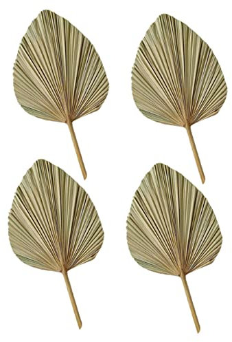 HOLIDYOYO 4piezas Decoración De Pared De Palma Naturales para Bodas Secas y Únicas para Adornos y Fotografía