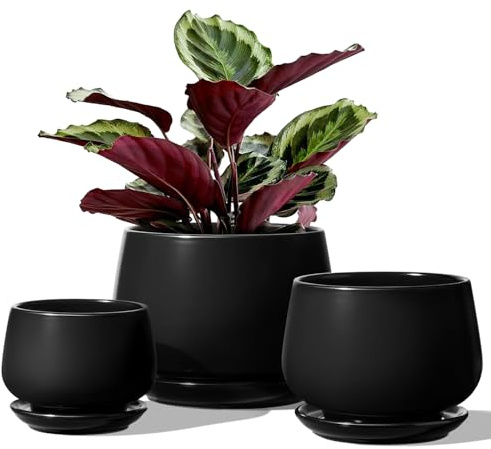 LE TAUCI Keramik Blumentopfe mit Untersetzer, 10+13+16 cm Durchmesser Klein Blumentöpfe Set, 3er Set Übertöpfe für Zimmerpflanzen, Pflanztöpfe mit Abflussloch, Schwarz