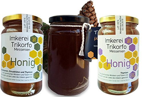 ARISTOS Honig Set | 4 Gläser griechischer Honig | Pinien Honig | Thymianhonig | Zitrusblüten Honig | Gemischter Honig | Honig Geschenkset | Zusammen 1830 g