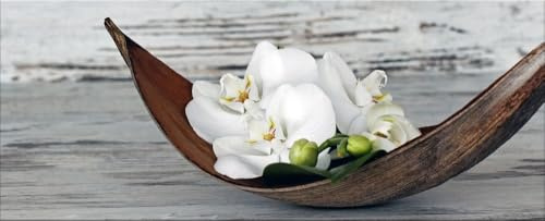 artissimo Glasbild 125x50 cm Bild Orchidee AG5407A – modernes Panorama Bild aus Glas, großes Wandbild XXL Querformat, Wanddeko Wohnzimmer weiß natur zen