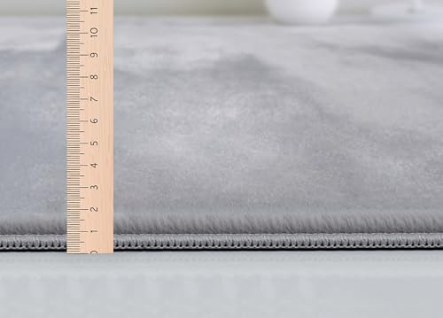 Mia´s Teppiche Luna kuschelig Warmer Fellteppich, weich und elegant, waschbar und Fußbodenheizung geeignet, Öko-Tex Zertifiziert, Grau, 120 x 160 cm