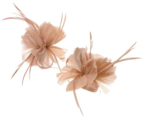 VALICLUD 2pièces Clips à Cheveux Plume Vintage Accessoires Capillaires Élégants Pour Mariage Et Événements Spéciaux
