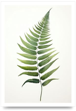 Lithobee - Green Fern Art Print Home Wall Art Prints in Sizes A2, A3 & A4 Framed in a Stylish Quality Coloured Frame or Unframed - A4 Unframed