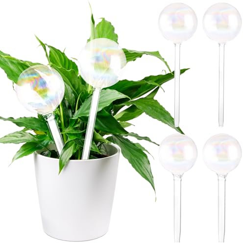 MIVIDE Set di 6 sfere di irrigazione trasparenti in vetro, dispenser di acqua per piante, sfere per piante in interni ed esterni (grandi e piccole)