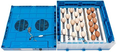 Brutautomat vollautomatisch 64 Eier Inkubator mit Automatisches Eierwenden Temperatur- und Feuchtigkeitsregelung Brutapparate für Bruteier, Hühner,Enten,Wachtel,Gänse,Brutapparat Geflügel