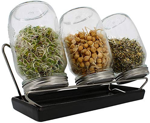 Eschenfelder Sprossengläser System III (anthrazit, 1000 ml)