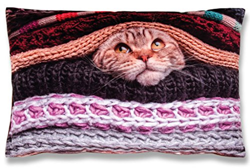 Bestlivings Kissenbezug inkl. Füllkissen mit Fotodruck 40x60cm, Flauschig weiche Kissenhülle, Bezug mit Reißverschluss, Dekokissen Sofakissen (Design: Katze)