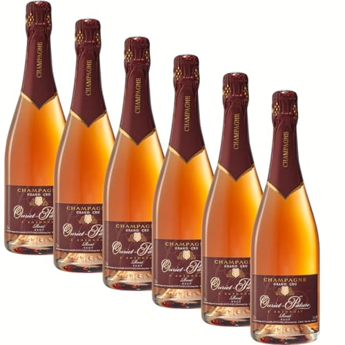 SUPER OFFERTA CHAMPAGNE BRUT Rosé | Pinot Nero | Pluripremiato | 6 bottiglie da 75 cl