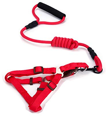 SOCHII Nylon Puppy Dog Harnesses and Leashes Sets Pet Training Walking Running Halter Harnesses for Small Medium Large Dogs Red XL