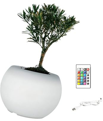 ZwaitL Macetas LED multicolor para plantas suculentas, modelos de color regulables, herramienta de jardinería interior, maceta LED creativa para decoración del hogar