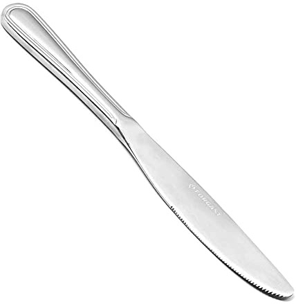 Forgast Coltelli da Tavolo in Acciaio Inox, linea RESTAURANT, Set di 4 Pezzi, Coltelli da Cena, Coltello da Burro, da Bistecca, Ideale per Ristoranti, Mense, Hotel, Casa, Lavabile in Lavastoviglie