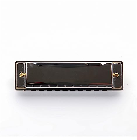 Mundharmonikas 10-Tasten-Mundharmonika, Diatonischer Harfenkamm, Professionelles Musikinstrument, C-Stimmung Mit Koffer-Set (Color : Bk)