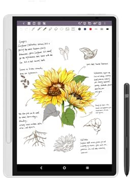 XP-Pen XPPen Tablette Note Liseuse Couleur 10,95 Pouces Notepad Numérique 128 Go, Magic Note Pad pour Lecture de PDF, Lecture de BD et Prise de Notes, Compatible avec Android 14