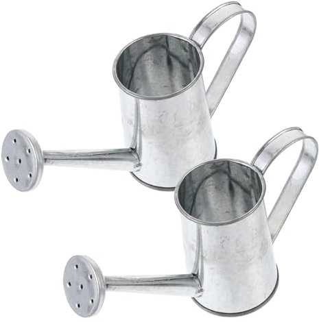 VANZACK 2pièces Bouilloire Fer Arrosoir pour Fleurs Outil De Jardinage Dispositif Arrosage pour Plantes Bouilloire Tôle