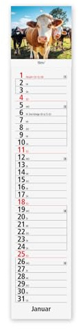 Timr Streifenkalender 2026 lang - Kalender 61 cm - Landschaften Küchenkalender schmal - Kühe lustig I tr413