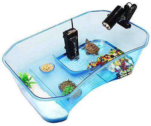 Schildkröten-Aquarium, Reptilien-Tank, Terrapin-See mit Plattformpflanzen für Haustier-Reptilien-Lebensraum