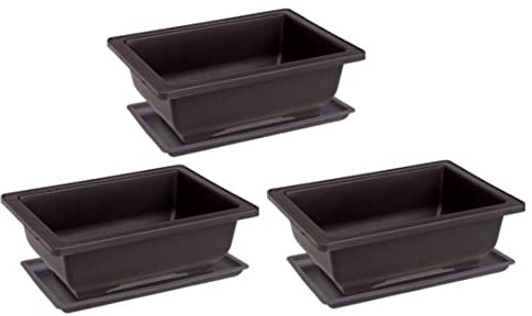 Hintyne Set di 6 vasi per bonsai in plastica vasi rettangolari per piante grasse e fioriere.