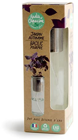 Radis et Capucine - Jardin autonome - Basilic Pourpre bio
