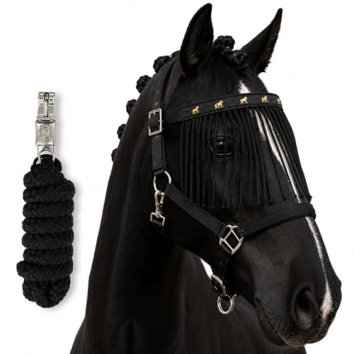 Halfter für Pferde mit Führstrick & Fliegenfransen Pferd, Weidehalfter, Pony, Cob, Full, Kaltblut (Schwarz, Warmblut (Full))