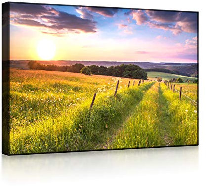 lightbox multicolor | Wandbild beleuchtet | Wunderschöne Bergwiese im Sonnenaufgang | 60x40 cm | Front Lighted