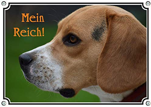 Petsigns ausdrucksstarkes Hundeschild mit Beagle - uv-beständiges Warnschild aus Aluminium, DIN A5