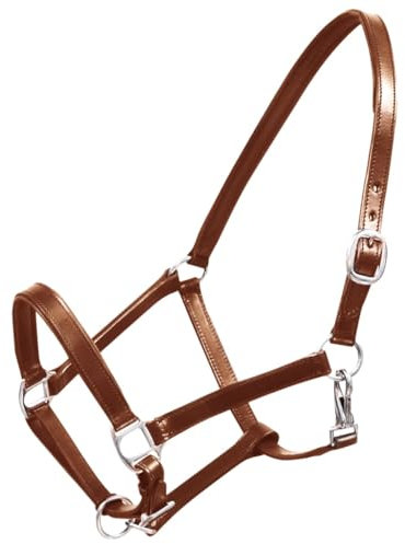 Echtes Lederhalfter Stabiles Halfter Verstellbar Braun Full-Nice