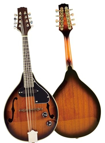 Adults Mandolin instrument Electric Sapele Mandolin With Sponge Bag
