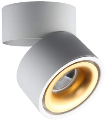 Toheitian de Techo Montado, Luz de Acento Rotatable, Lámpara de Techo Direccional,