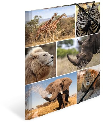 HERMA Folder A4 Lion Set of 3 Children's Cardboard Corner Folder with Africa Animal Motif, Elastic Band, Inner Flaps and Inner Print for Boys and Girls