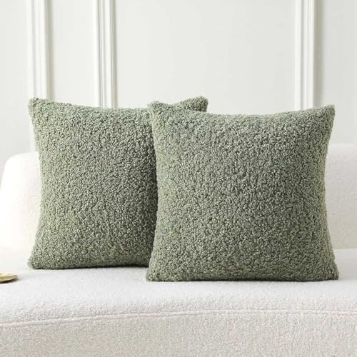YIYOHON 2er-Set grüne Kunstfell-Kissenbezüge aus Teddywolle, weich, flauschig, dekoratives Kissen aus Schaffell, Kissen für Boho, Heimdekoration, Sofa, Wohnzimmer, Couch, Bett (grün, 45 x 45 cm)