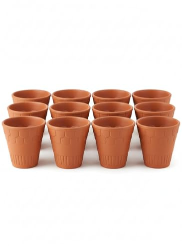 Aayuleubeda Badi Care ABC Handcrafted Mitti Clay Coffee Mugs and Tea Cups Handmade Clay Coffee Mug Set Chai ke Cup (Pack of 12)