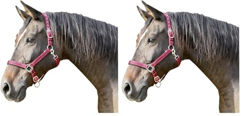 Covalliero Kerbl Halfter Mustang 2-Fach verstellbar, Rot/Schwarz, 1, 321961 (Packung mit 2)
