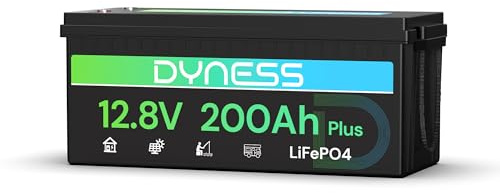 Dyness Batterie Lithium 12V 200Ah LiFePO4 avec BMS 200A intégré et Protection Basse Température, 2560Wh pour Camping-Car/Marin à Décharge Profonde, Solaire, Aventure/Van, Hors-Réseau