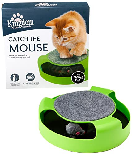 Kingdom Catch the Mouse Cat Toy | Green | Pack of 1 | 26cm x 26cm x 7cm