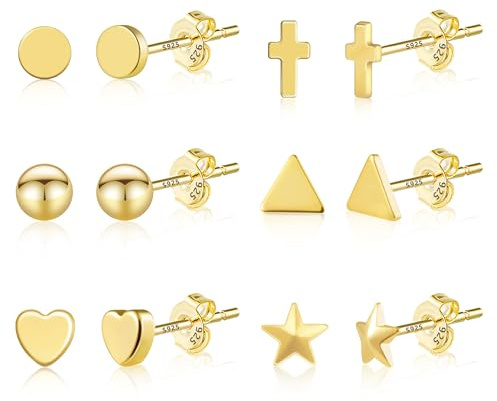 ASH'S CHOICE Pendientes Para Mujer 6 Pares De Pendientes Pequeños Para Cartílago Oreja Clavos Chapados En Plata S925/Oro De 14 Quilates Hipoalergénicos, Adecuados Para Mujeres, Niñas y Hombres