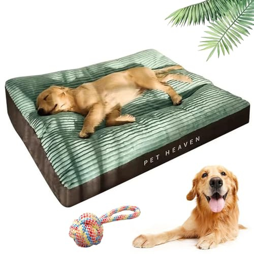 Generisch Waschbar Orthopädisches Hundebett, Hundekissen Abnehmbarem Bezug & Extra Weicher Polsterung, Hundekörbchen rutschfeste Für Kleine/Mittelgroße/Große (Grün, L (100 * 75 * 7cm))