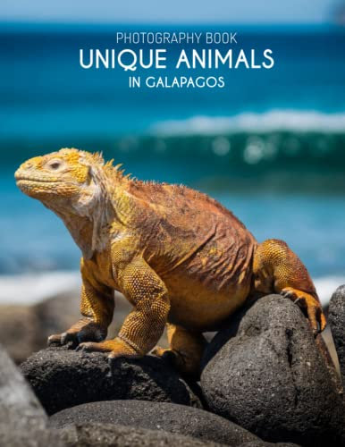 Unique Animals in Galapagos Photography Book: Be Entertained With These Unique Animals in Galapagos Pictures