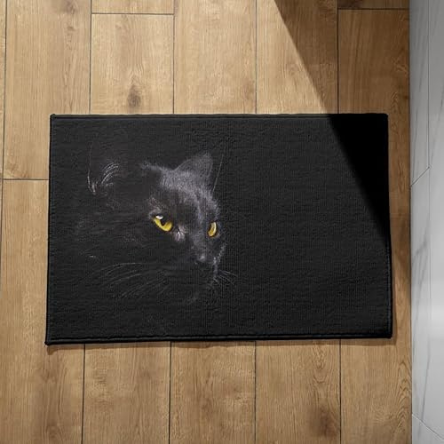 EHOMERY Fußmatten Innen Sauberlaufmatte Küche Schwarze Katze Abtreter Fußmatte Innen Lustig Bunte Fussmatten Haustür 50x80cm, rutschfeste Dekorative Fußmatte Aus Plüschbaumwolle