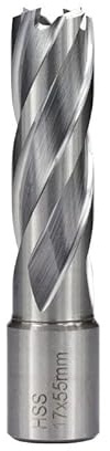 1 STÜCK HSS Ringschneider 12/16/19/20/23/25/30/42mm Kernbohrer Weldon Schaft Lochsäge Hohlbohrer for Metall Bohrwerkzeuge (Color : 17x55mm)