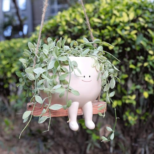 Cute Hanging Swing Flower Smily Face Planters for Indoor Outdoor Plants