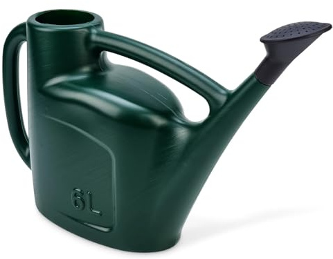 WINSOME Watering Can with Rose for Indoor & Outdoor Plant - Heavy Duty Strong PVC Plastic Watering Cans for the Garden with Double Handle to Control Water Flow - 6 L, Green