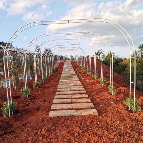 Arche de jardin en métal blanc pour plantes grimpantes, cadre de support antirouille pour roses, décoration de fête de mariage, hauteur réglable, 300 x 250 cm, tonnelle d'extérieur