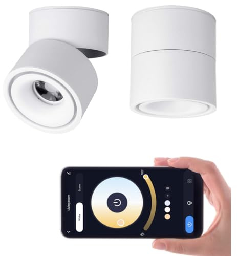 Yodaba LED 3CCT Dimmable Ceiling Spotlight Indoor 360°Adjustable -Tuya Smart Life Surface Mounted 12W COB Directional Art Lighting-Hard Wired Ceiling Downlight for Mural Display Home Shop (White)